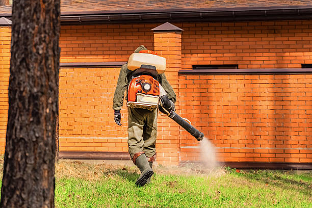 Bed Bug Clearance Verification and Documentation in Livonia